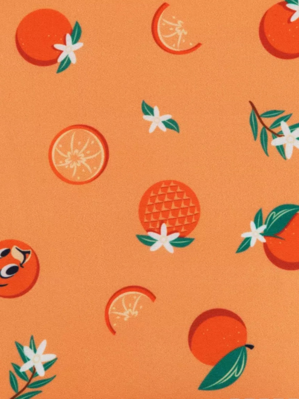 Disney Loungefly Orange Bird and Lug Crossbody - 2024 Flower & Garden Festival - Picture 4 of 15